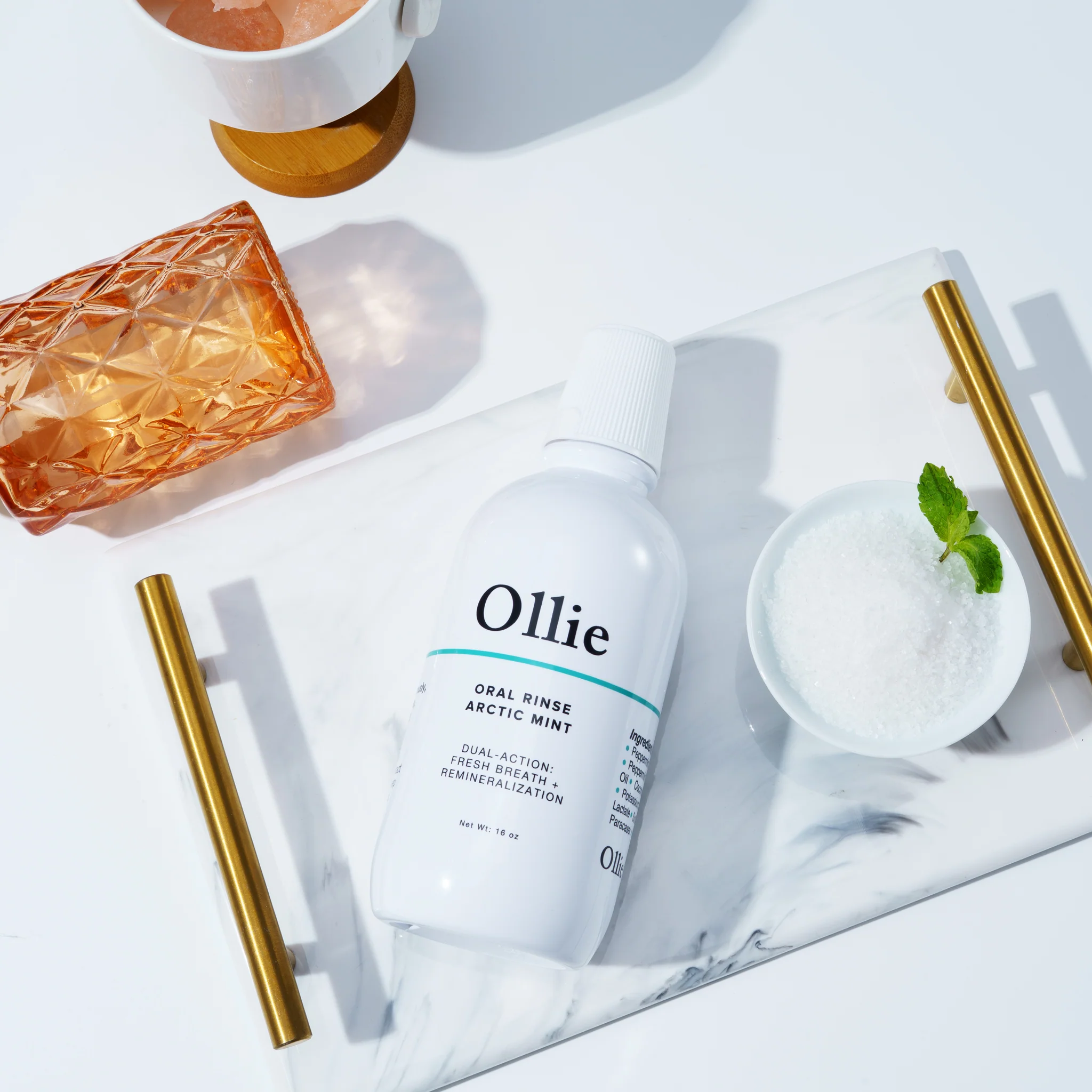 Everyday Essentials, Elevated by Ollie